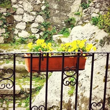 Casa Terrazza 別荘 *